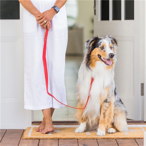 91210 91180 91197 91203 91173